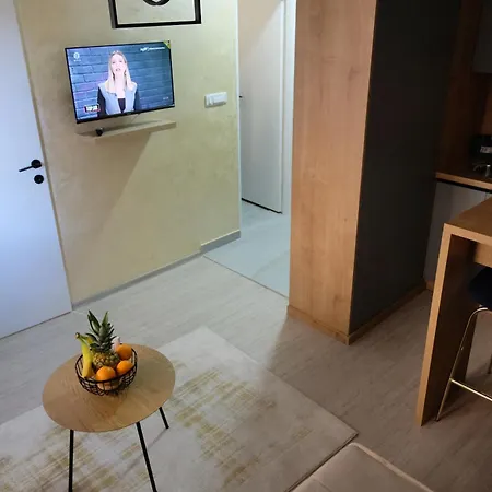 Ahat 公寓 塞拉耶佛